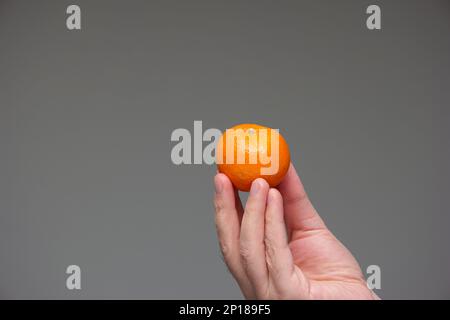 Single aus frischer roher MandarinenClementine in der Hand gehalten von weißem Mann isoliert auf grauem Hintergrund-Studio-Aufnahme. Stockfoto
