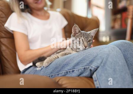 Frau sitzt auf dem Sofa und streichelt graue Katze Stockfoto