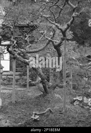 Reiseansichten von Japan und Korea, 1908. Stockfoto