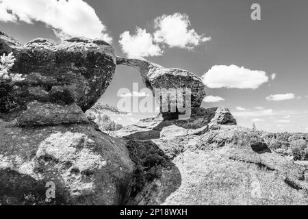 Bodenansicht des einzigartigen Sandsteinbogens im Kiefernwald am trockenen sonnigen Sommertag. Böhmisches Paradies, Tschechische Republik. Schwarzweiß-Bild. Stockfoto