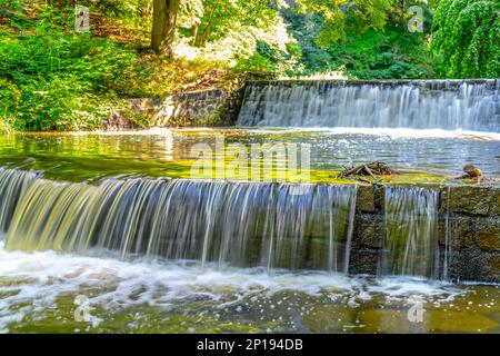 Kleiner doppelter Wasserfall am Waldbach. Gaden Steinschleuder in ruhiger Waldstimmung. Stockfoto