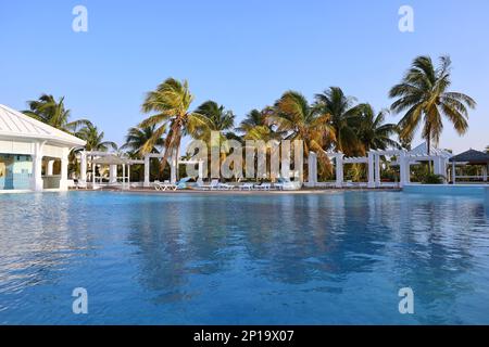 Blick auf den Swimmingpool und leere Liegestühle vor den Palmen. Urlaub am Strand Resort auf tropischer Insel Stockfoto