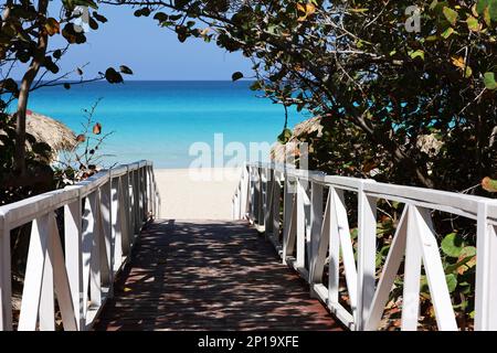 Holzweg zum tropischen Strand mit weißem Sand. Malerischer Blick durch grüne Pflanzen zur Küste, Touristenresort auf der sonnigen Insel Stockfoto