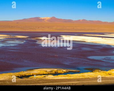 Laguna Colorada oder Rote Lagune und typische braune Berge im Hintergrund, Reserva Nacional de Fauna Andina Eduardo Avaroa, Cordillera de Lipez, Bolivien Stockfoto