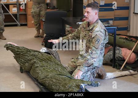 The 801. Personnel Company (Tulsa, OK.) Trainiert für den Einsatz auf der Joint Base McGuire-Dix-Lakehurst in New Jersey. Sie arbeiten derzeit mit dem 1-315. Brigaden-Stützbataillon und dem 1-309. Training Support Bataillon zusammen, um die Einsatzbereitschaft der Einheit als Anlaufstelle für die Mobilisierungsübung sicherzustellen. Stockfoto