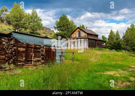 Harney County, Oregon, USA - 22. JUNI 2022: Die Riddle Brothers Ranch im Steens Mountain Cooperative Management and Protection Area erlaubt dies Stockfoto