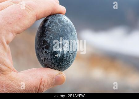 Die berühmten schwarzen Eier des Owakudani-Tals in Hakone, Japan, einer aktiven Vulkanzone. Stockfoto