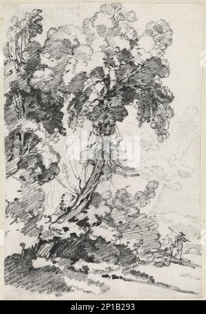 Ein hoch aufragender Baum mit Reisenden, 1746/1749. Stockfoto