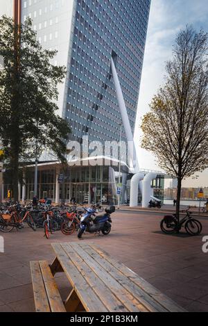 Rotterdam, Niederlande-21. November 2018: Kop van Zuid ist ein moderner Teil von Rotterdam am Südufer der neuen Maas Stockfoto