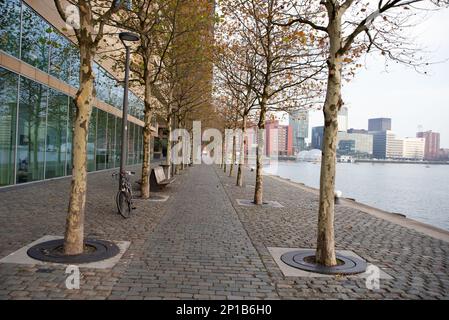 Rotterdam, Niederlande-21. November 2018: Moderne Architektur im Hafen von Rotterdam am Südufer der Neuen Maas Stockfoto