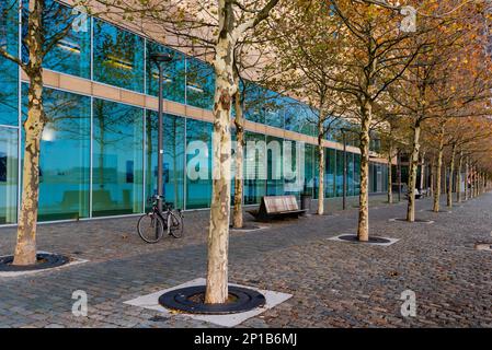 Rotterdam, Niederlande-21. November 2018: Moderne Architektur im Hafen von Rotterdam am Südufer der Neuen Maas Stockfoto