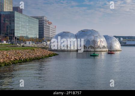 Rotterdam, Niederlande-21. November 2018: Kop van Zuid ist ein moderner Teil von Rotterdam am Südufer der neuen Maas Stockfoto