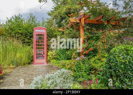 Pyracantha in leuchtendem Rot (Orangenblumen oder Beeren) und Telefonzelle im Londoner Stil im botanischen Garten in Augsburg, Bayern. Ende des Sommers. Stockfoto