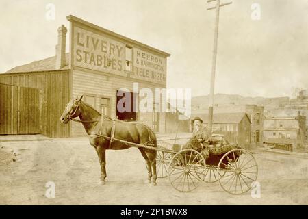 Livery 1900, Stall, Wilder Westen, Old American West Town ca. 1900, Horse and Buggy, Jahrhundertwende Stockfoto