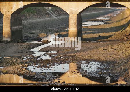 Cavour Canal, der Reisfelder zwischen Vercelli und Novara füttert, trocknet aufgrund der großen Dürre in Piemont, Italien. Stockfoto