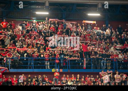 Armani - Olympiakos euroleague Korb 2022-2023 - Mailand märz 3 2023 - auf dem Foto - Unterstützer Olimpiakos in mailand Stockfoto