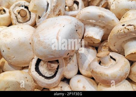 Nahaufnahme eines Stapels gewöhnlicher Pilze (Agaricus bisporus) zum Verkauf an einem Marktstand. Stockfoto