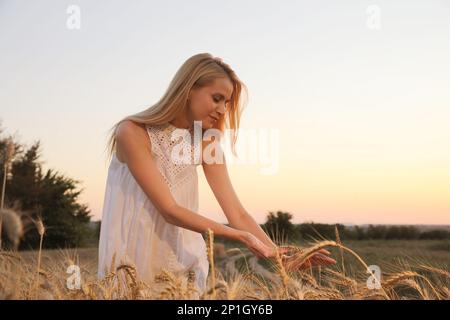 Frau auf reifem Weizenstachel-Feld. Platz für Text Stockfoto