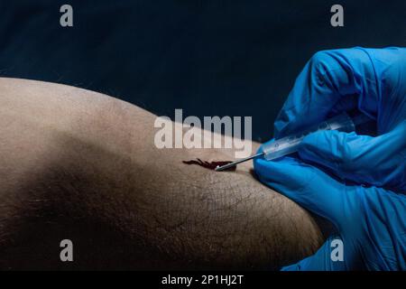 Hospital Mate 3. Class Kayle Madej entnimmt Blut von Hospital Mate 3. Class Sands, beide Sanitäter mit Kampflogistik-Bataillon 31, 31. Marine Expeditionary Unit, während Bluttransfusions-Training für Iron Fist 23 in Hijudai, Japan, 21. Februar 2023. Die Schulung wurde durchgeführt, um die Fähigkeit des medizinischen Militärpersonals der USA und Japans zu verbessern, Blut in einer stationären Umgebung zu sammeln. Iron Fist ist eine jährliche bilaterale Übung, die darauf abzielt, die Interoperabilität zu erhöhen und die Beziehungen zwischen den USA zu stärken Marine Corps, die USA Navy, die Japan Ground Self Defense Force und die J Stockfoto
