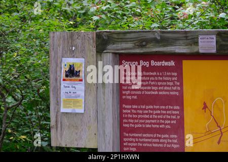 Algonquin Park, Ontario, Kanada - 26. August 2022: Ein Hinweis auf dem Spruce Bog Boardwalk Trail gibt eine kühne Bärenwarnung vor Schwarzbären in der Gegend aus. Stockfoto