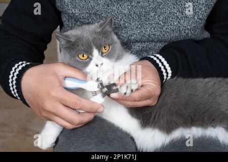 Ein Mann, der zu Hause Nägel mit einem Nagelschneider schneidet Stockfoto