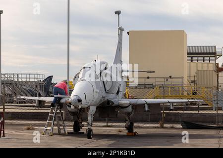 Ein Mitarbeiter des Fleet Readiness Center East (FRCE) entfernt Ratschengurte von einem A-4M Skyhawk in der Nähe der Fluglinie an der Marine Corps Air Station Cherry Point, North Carolina, 10. Januar 2023. Das Flugzeug wurde von Mai 1981 bis August 1987 der Marine Attack Squadron-223 zugeteilt, wo es mehr als 2.102 Flugstunden verzeichnete. In den nächsten Jahren wird das Flugzeug von FRCE restauriert und vor dem Flugverkehrskontrollturm platziert. Stockfoto