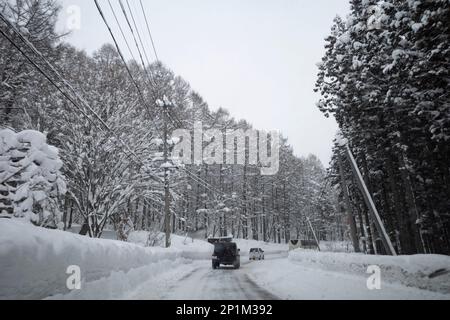 Yamanouchi, Präfektur Nagano, Japan. 15. Februar 2023. Schneesturmwetter haben auf dem Bergpass zum Ryuoo Ski Park auf Shiga Kogen in der Nähe des Mount Yakebitai eine Winterwunderlandschaft ausgelöst. Die Präfektur Nagano war Austragungsort der Olympischen Winterspiele 1998 und führte Snowboarden in die Welt als olympische Sportart ein. Die Gegend ist sowohl bei japanischen Skifahrern als auch bei internationalen Snowboardern wegen der Qualität des Pulverschnee und der unberührten Skibedingungen im Hinterland beliebt. (Kreditbild: © Taidgh Barron/ZUMA Press Wire) NUR REDAKTIONELLE VERWENDUNG! Nicht für den kommerziellen GEBRAUCH! Stockfoto