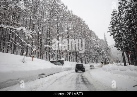 Yamanouchi, Präfektur Nagano, Japan. 15. Februar 2023. Schneesturmwetter haben auf dem Bergpass zum Ryuoo Ski Park auf Shiga Kogen in der Nähe des Mount Yakebitai eine Winterwunderlandschaft ausgelöst. Die Präfektur Nagano war Austragungsort der Olympischen Winterspiele 1998 und führte Snowboarden in die Welt als olympische Sportart ein. Die Gegend ist sowohl bei japanischen Skifahrern als auch bei internationalen Snowboardern wegen der Qualität des Pulverschnee und der unberührten Skibedingungen im Hinterland beliebt. (Kreditbild: © Taidgh Barron/ZUMA Press Wire) NUR REDAKTIONELLE VERWENDUNG! Nicht für den kommerziellen GEBRAUCH! Stockfoto