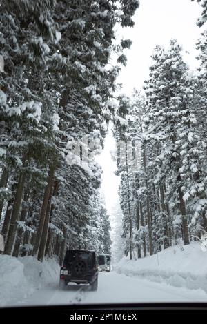 Yamanouchi, Präfektur Nagano, Japan. 15. Februar 2023. Schneesturmwetter haben auf dem Bergpass zum Ryuoo Ski Park auf Shiga Kogen in der Nähe des Mount Yakebitai eine Winterwunderlandschaft ausgelöst. Die Präfektur Nagano war Austragungsort der Olympischen Winterspiele 1998 und führte Snowboarden in die Welt als olympische Sportart ein. Die Gegend ist sowohl bei japanischen Skifahrern als auch bei internationalen Snowboardern wegen der Qualität des Pulverschnee und der unberührten Skibedingungen im Hinterland beliebt. (Kreditbild: © Taidgh Barron/ZUMA Press Wire) NUR REDAKTIONELLE VERWENDUNG! Nicht für den kommerziellen GEBRAUCH! Stockfoto