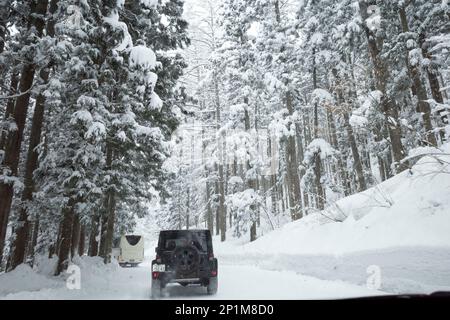 Yamanouchi, Präfektur Nagano, Japan. 15. Februar 2023. Schneesturmwetter haben auf dem Bergpass zum Ryuoo Ski Park auf Shiga Kogen in der Nähe des Mount Yakebitai eine Winterwunderlandschaft ausgelöst. Die Präfektur Nagano war Austragungsort der Olympischen Winterspiele 1998 und führte Snowboarden in die Welt als olympische Sportart ein. Die Gegend ist sowohl bei japanischen Skifahrern als auch bei internationalen Snowboardern wegen der Qualität des Pulverschnee und der unberührten Skibedingungen im Hinterland beliebt. (Kreditbild: © Taidgh Barron/ZUMA Press Wire) NUR REDAKTIONELLE VERWENDUNG! Nicht für den kommerziellen GEBRAUCH! Stockfoto