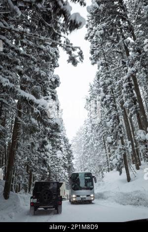 Yamanouchi, Präfektur Nagano, Japan. 15. Februar 2023. Schneesturmwetter haben auf dem Bergpass zum Ryuoo Ski Park auf Shiga Kogen in der Nähe des Mount Yakebitai eine Winterwunderlandschaft ausgelöst. Die Präfektur Nagano war Austragungsort der Olympischen Winterspiele 1998 und führte Snowboarden in die Welt als olympische Sportart ein. Die Gegend ist sowohl bei japanischen Skifahrern als auch bei internationalen Snowboardern wegen der Qualität des Pulverschnee und der unberührten Skibedingungen im Hinterland beliebt. (Kreditbild: © Taidgh Barron/ZUMA Press Wire) NUR REDAKTIONELLE VERWENDUNG! Nicht für den kommerziellen GEBRAUCH! Stockfoto