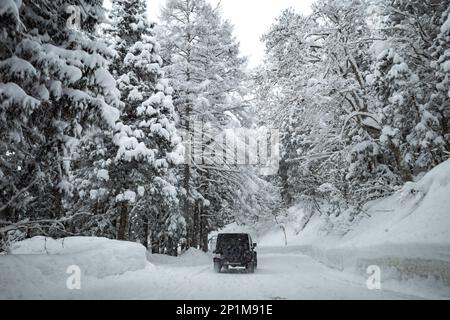 Yamanouchi, Präfektur Nagano, Japan. 15. Februar 2023. Schneesturmwetter haben auf dem Bergpass zum Ryuoo Ski Park auf Shiga Kogen in der Nähe des Mount Yakebitai eine Winterwunderlandschaft ausgelöst. Die Präfektur Nagano war Austragungsort der Olympischen Winterspiele 1998 und führte Snowboarden in die Welt als olympische Sportart ein. Die Gegend ist sowohl bei japanischen Skifahrern als auch bei internationalen Snowboardern wegen der Qualität des Pulverschnee und der unberührten Skibedingungen im Hinterland beliebt. (Kreditbild: © Taidgh Barron/ZUMA Press Wire) NUR REDAKTIONELLE VERWENDUNG! Nicht für den kommerziellen GEBRAUCH! Stockfoto