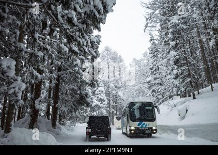 Yamanouchi, Präfektur Nagano, Japan. 15. Februar 2023. Schneesturmwetter haben auf dem Bergpass zum Ryuoo Ski Park auf Shiga Kogen in der Nähe des Mount Yakebitai eine Winterwunderlandschaft ausgelöst. Die Präfektur Nagano war Austragungsort der Olympischen Winterspiele 1998 und führte Snowboarden in die Welt als olympische Sportart ein. Die Gegend ist sowohl bei japanischen Skifahrern als auch bei internationalen Snowboardern wegen der Qualität des Pulverschnee und der unberührten Skibedingungen im Hinterland beliebt. (Kreditbild: © Taidgh Barron/ZUMA Press Wire) NUR REDAKTIONELLE VERWENDUNG! Nicht für den kommerziellen GEBRAUCH! Stockfoto