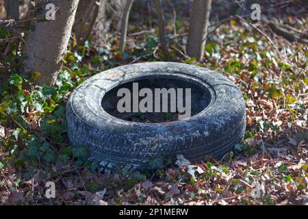 Nahaufnahme eines verlassenen Reifens im Wald. Stockfoto
