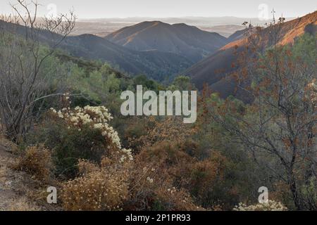 Sonnenuntergang über dem Olympia und dem Mitchell Canyon über die Deer Flat. Mt Diablo State Park, Contra Costa County, Kalifornien, USA. Stockfoto