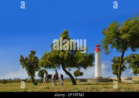 Frankreich. Charente-Maritime (17) Ile de Re, das Dorf Saint-Martin-de-Re, der Leuchtturm am Eingang zum Hafen und Eselfahrten auf den Stadtmauern Stockfoto