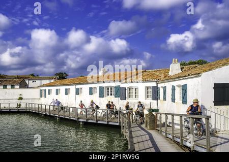 Frankreich. Charente-Maritime (17) Ile de Re, Loix, Radweg Stockfoto