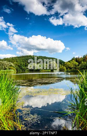 Hochwasserrückhaltebecken Eicherscheid am Fluss Erft bei Bad Mülleifel, Nordrhein-Westfalen Stockfoto