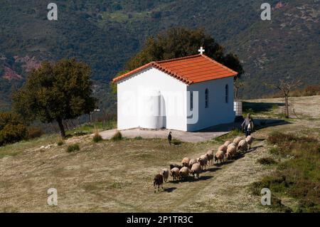 Kirche, Agia Paraskeuh, Kalanistra, Achaia, Peloponnes, Griechenland, Kapelle Stockfoto