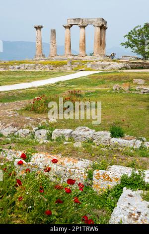 Tempel des Apollo, das antike Korinth, Korinthien, Peloponnes, Griechenland, Tempel des Apollo Stockfoto