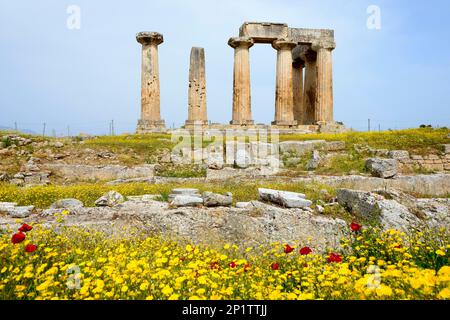 Tempel des Apollo, das antike Korinth, Korinthien, Peloponnes, Griechenland, Tempel des Apollo Stockfoto