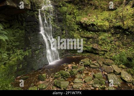 Blick auf Wasserfall und Felsen im Fluss, Middle Black Clough Wasserfall, Black Clough, Peak District National Park, Derbyshire, England, Großbritannien Stockfoto