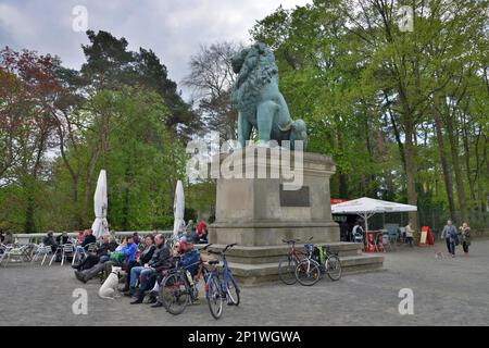 Flensburger Loewe, Wannsee, Steglitz-Zehlendorf, Berlin, Deutschland Stockfoto