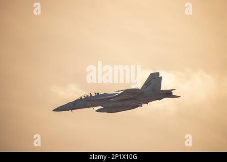 Eine RAAF F/A-18F Super Hornet von 1 Staffel wird auf der Avalon International Airshow 2023 ausgestellt Stockfoto