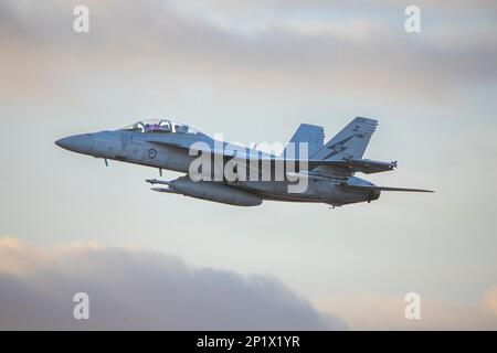 Eine RAAF F/A-18F Super Hornet von 1 Staffel wird auf der Avalon International Airshow 2023 ausgestellt Stockfoto