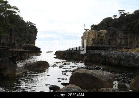 Fossilieninsel am südlichen Ende der Pirates Bay, Eaglehawk Neck, wo alte Korallen, Schwämme und Gastropoden zu den fossilen Überresten gehören Stockfoto