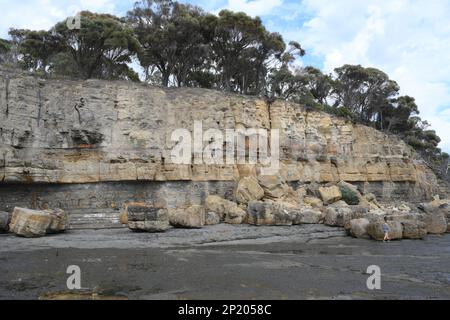 Fossilieninsel am südlichen Ende der Pirates Bay, Eaglehawk Neck Neck, wo alte Korallen, Schwämme und Meeresschnecken zu den versteinerten Überresten gehören Stockfoto