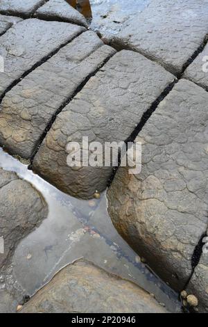 Tessellierte Gehwege in der Eaglehawk Neck Bay auf der Tasman-Halbinsel, ein bemerkenswertes geologisches Merkmal mit geometrischen Felsformationen. Tasmanien. Stockfoto