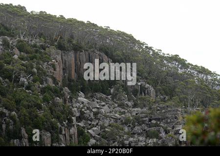 Über den Wolken auf der einheimischen Vegetation des Mount Wellington und der riesige Eukalyptus säumen die Berge Stockfoto