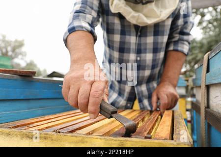 Imker nimmt Gestell aus Bienenstock in der Bienenstation, Nahaufnahme. Honig ernten Stockfoto